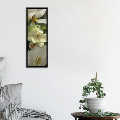 " Close-up Of Orchid Flowers IV "