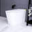 White Smart Toilet With Luminous Lighting