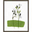 «Little Herb I» par Asia Jensen, reproduction d'art encadrée sur bois-100671847