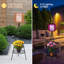 Lampes solaires solaires en rotin avec 9 options de couleurs, support pour plante, alimenté par USB et solaire pour le chemin de la cour