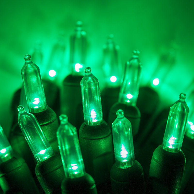 25.5' Steady LED String Lights, Green
