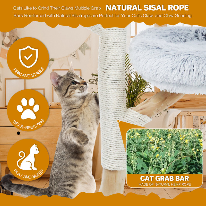 Tour à chat en bois pour chats d'intérieur, 52 po, Gris
