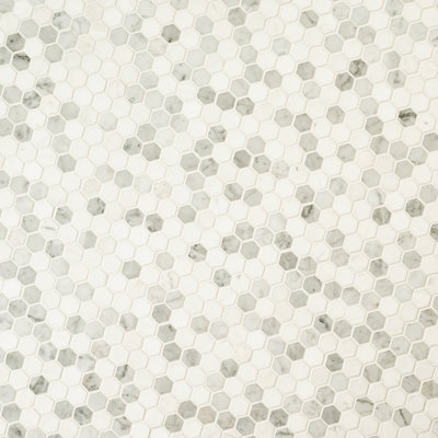 Carrelage mural et mosaïque en marbre poli Calabria Frost Hexagon 12 po x 12 po