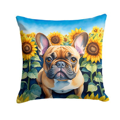 Other/No Pattern Indoor/Outdoor Throw Pillow