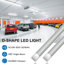 Bande lumineuse DEL 8 pi