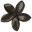 Poignée Plumeria-39948783-126755984-104672779