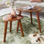 Tom Solid Wood Nesting Tables