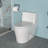 Ceramic One Piece Toilet,Single Flush With Soft Clsoing Seat