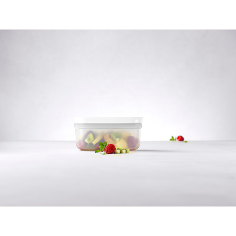 Fresh & Save Plastic Lunch Box 20.3681 oz.  Food Storage Container