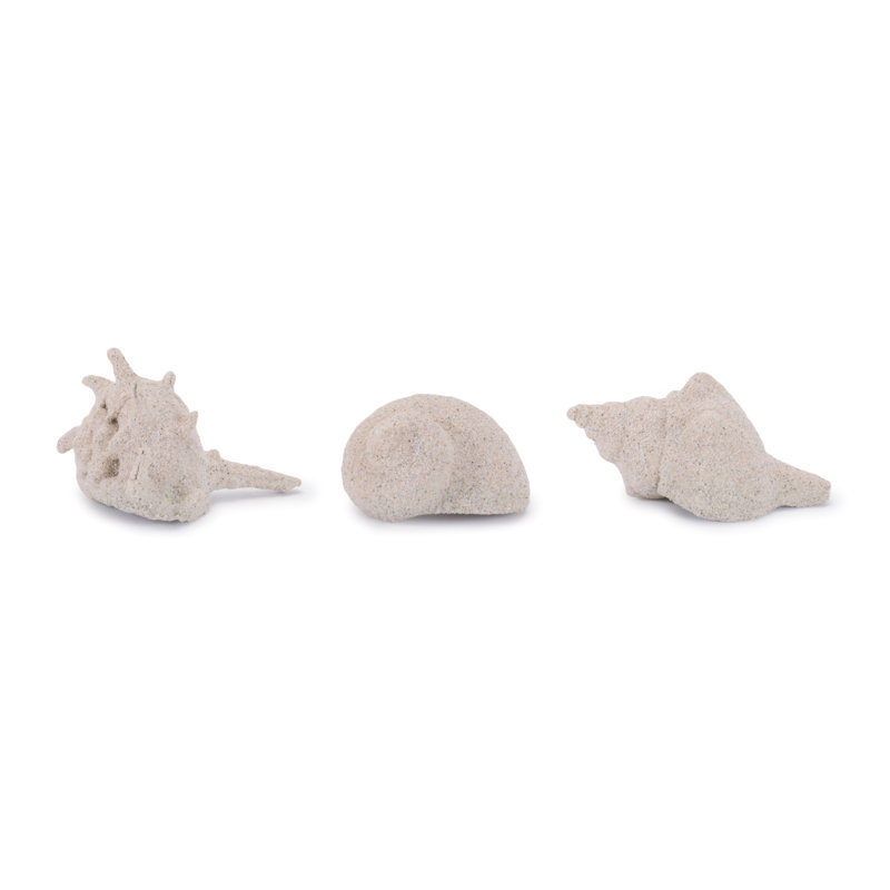 Garniture de coquillage