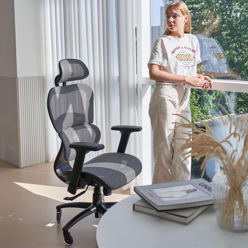 Chaise de bureau ergonomique Nouhaus Ergo3D, Gris