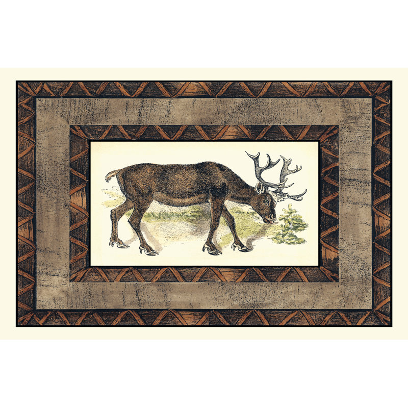 Rustic Moose - Wrapped Canvas Art Prints, 30cm H x 46cm W x 3.8cm D