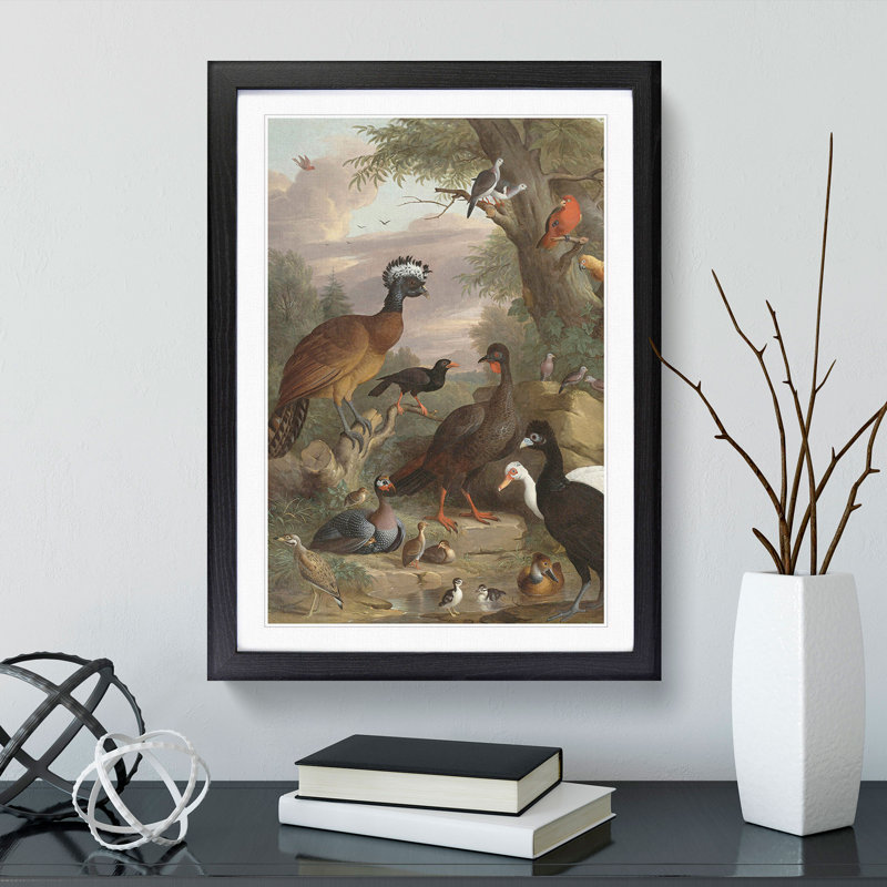 Collection of Birds Vol.1 by Melchior D'hondecoeter - Picture Frame Painting, Black, 48cm H x 36cm W x 2cm D