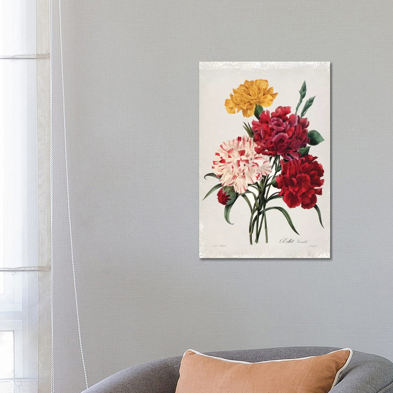 Botanical Bouquet Carnations by Carol Robinson - Print on Canvas, Wrapped Canvas, 66.04 cm H x 45.72 cm W x 1.91 cm D