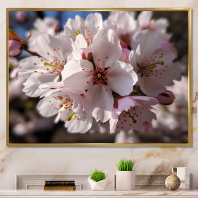 «Blossoming Cherry Flowers In Spring I», reproduction sur toile