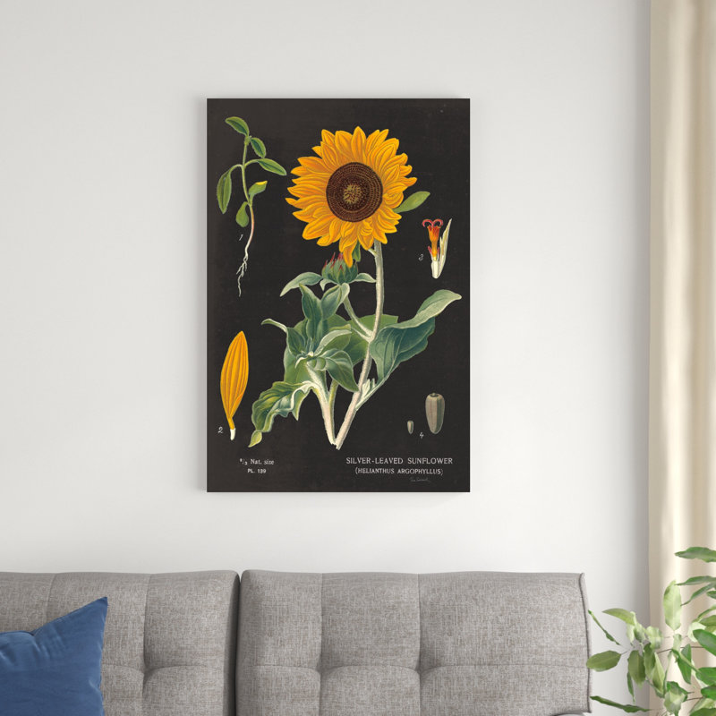Tableau de tournesol, H 36 po x l 24 po x P 1,25 po