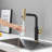 Scorpa- Black With Gold Pull Out Dual Sprayer Kitchen Faucet