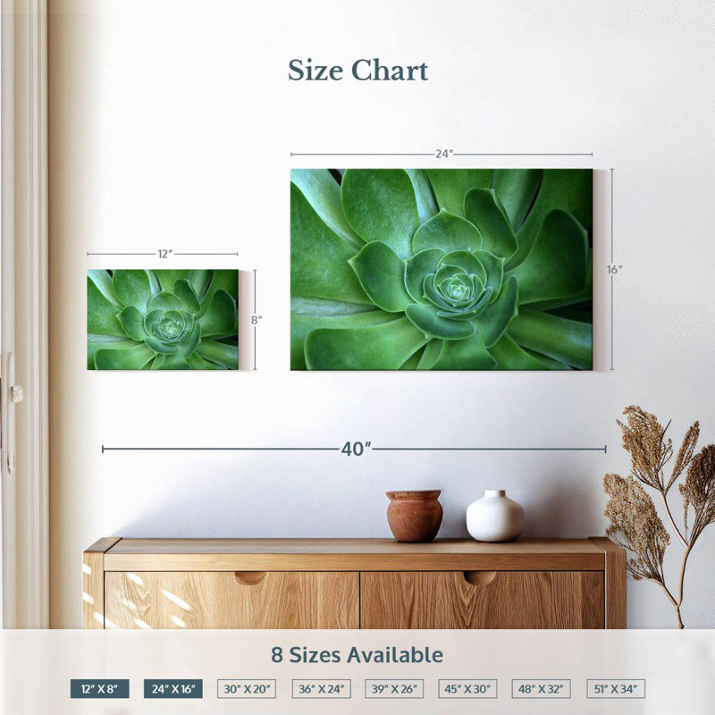 Harnek Single Succulant, 16" H x 24" W