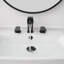 Widespread 2-handle Bathroom Faucet with Drain Assembly-95166375