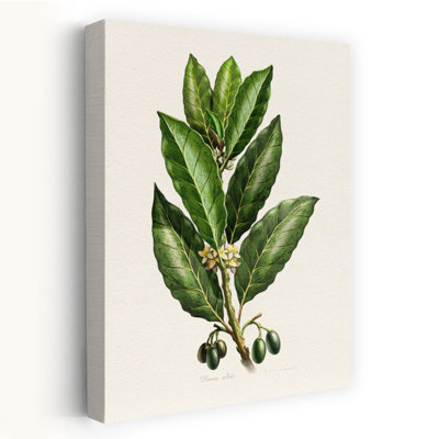 Art contemporain contemporain classique, plante fruitière