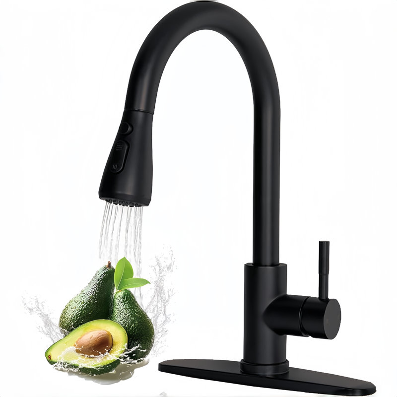 Kitchen Faucet with Pull Down Sprayer