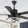 Halas 52'' Chandelier Fan Modern DIY Shade Ceiling Fan with Lights, 6-Speed Reversible Ceiling Fan with Remote