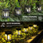 Aviance 51.3cm Solar Powered Integrated LED