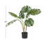 Artificiel fromage suisse plante en pot