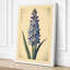Hyacinth Study Botanical - Wrapped Canvas-1303359003-1303358997