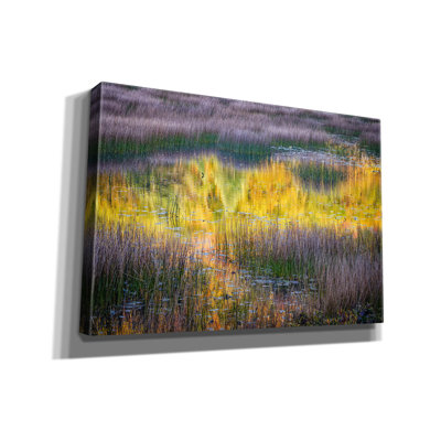 'The Tarn' by Rick Berk Canvas Wall Art
