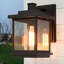 Lanterne murale noire H 10,6 po Harlow