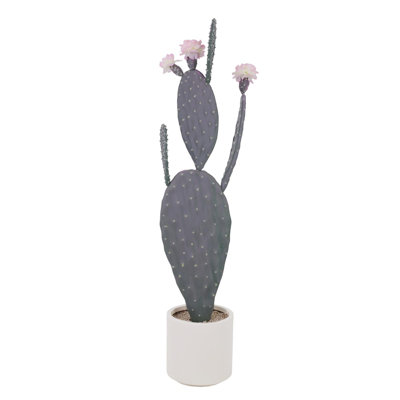 118cm Plant