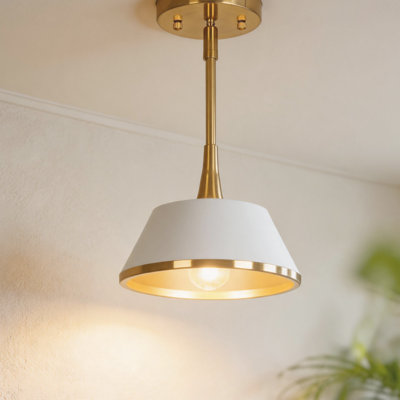 Tilda 1-Light Modern Dimmable Dome Pendant Light with Metal Shade