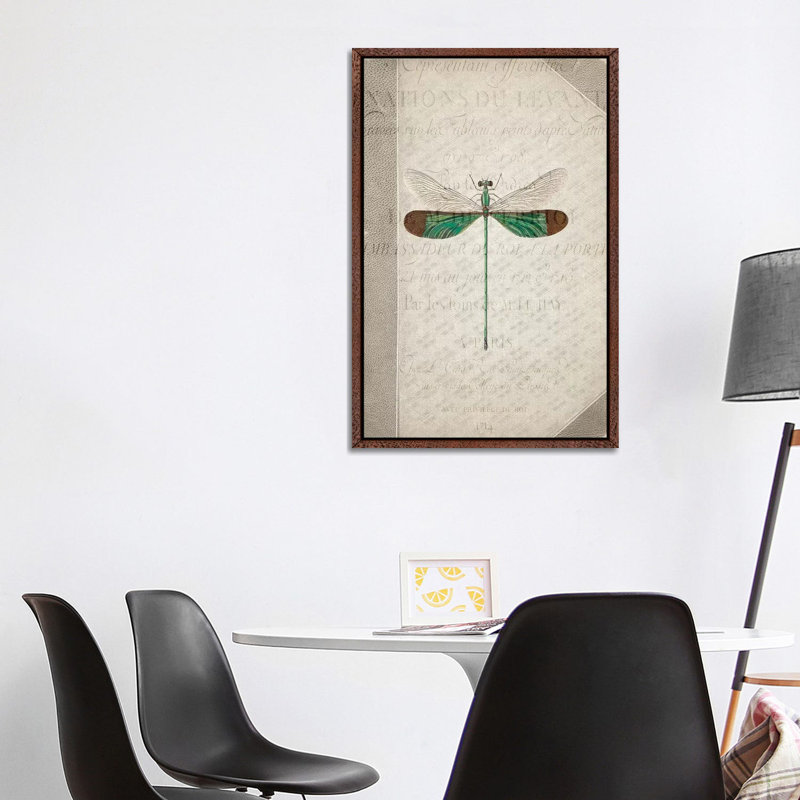 Dragonfly Book II 1 Piece Wall Art on Canvas, 101.6cm H x 66.04cm W x 3.81cm D, Classic Brown Wood Framed