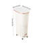 Plastic Manual Lift Waste Bin - 38L