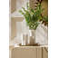 Maud Vases, Set Of 2