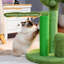 Grattoir pour chat Oasis Series-131246013-131246015