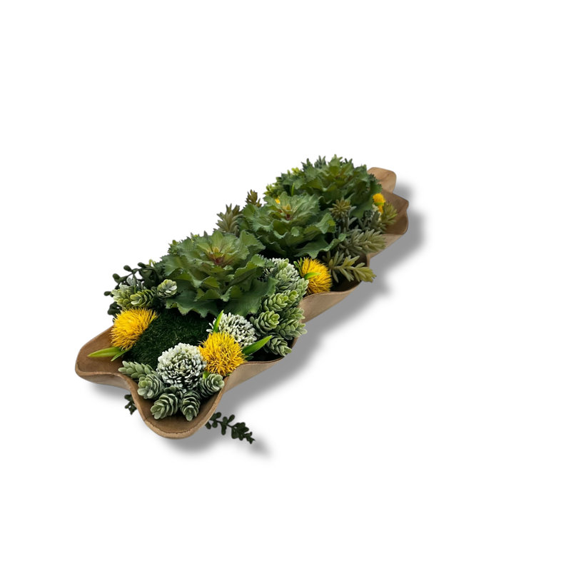 Arrangement de plantes grasses Walnut Grove | Vase en bois en forme de feuille, centre de table rustique moderne