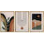 Bohemian-style plants " Brown Plant and Polygon Variety Abstract Shapes Illustrations Mid Century Modern Art Boho Colorful " 3 Piece Art Set-98696206-98696207