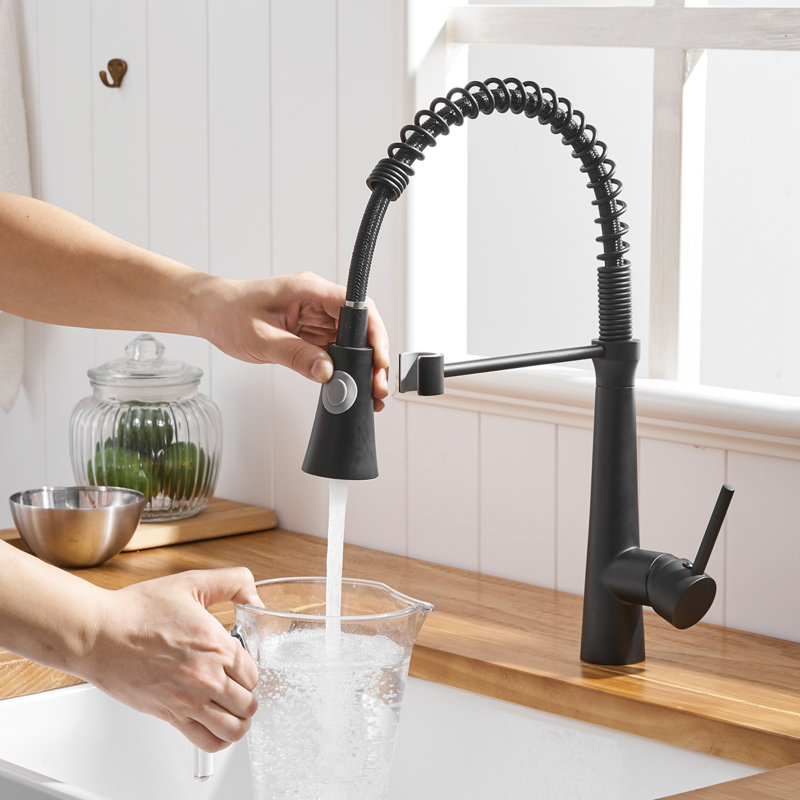 Robinet de cuisine commercial noir avec douchette rétractable, robinet d'évier de cuisine à poignée simple