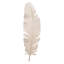 Feather Object, Large In Off White Resin