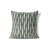Scar Play Throw Pillow-108050283-108050284
