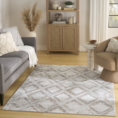 Lafever 4' x 6' Grey Modern Indoor Rug