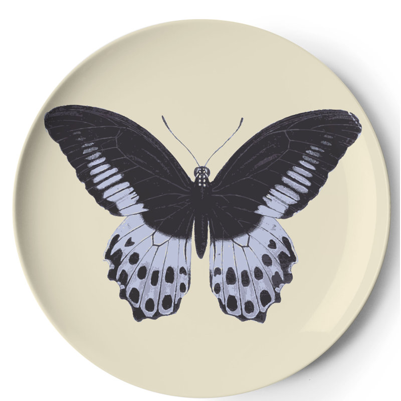 Metamorphosis Round Coaster