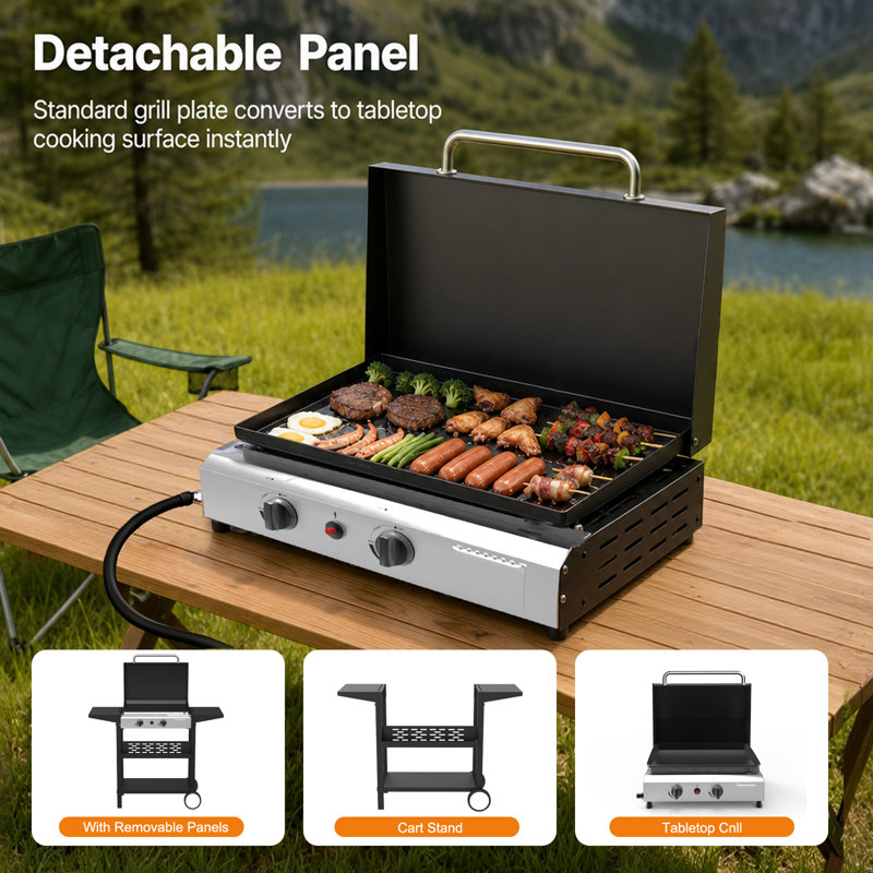 Barbecue au gaz propane 2 brûleurs de 43 cm avec chariot roulant tout-en-un, plaque de cuisson extérieure à roulettes, argent