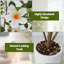 120cm Plant