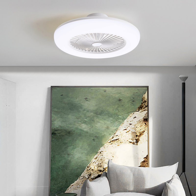 Ceiling Fan with LED Lights