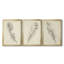 Croquis de plumes I - Toile tendue avec châssis sur mesure - 3 pièces-1957913489-1957913491