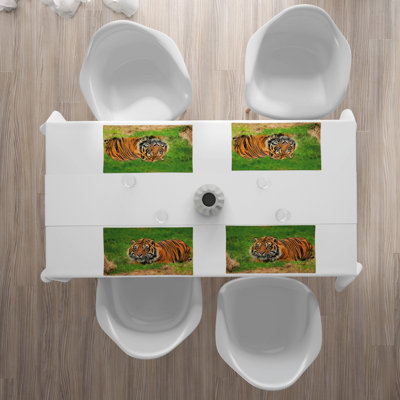 Récapitulatif tiger 18,5 po