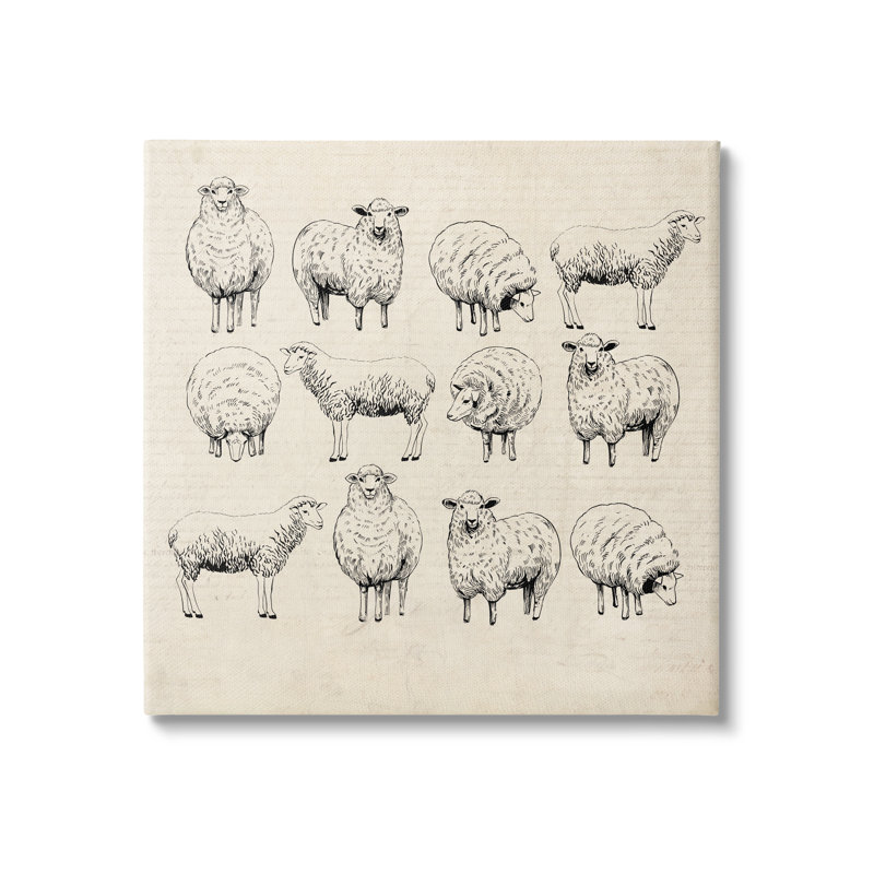"Vintage Sheep Dessins" sur toile par Karen Smith, reproduction, H 36 po x l 36 po x P 1,5 po